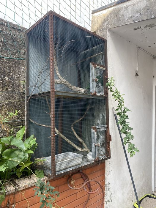 Gaiola para pássaros