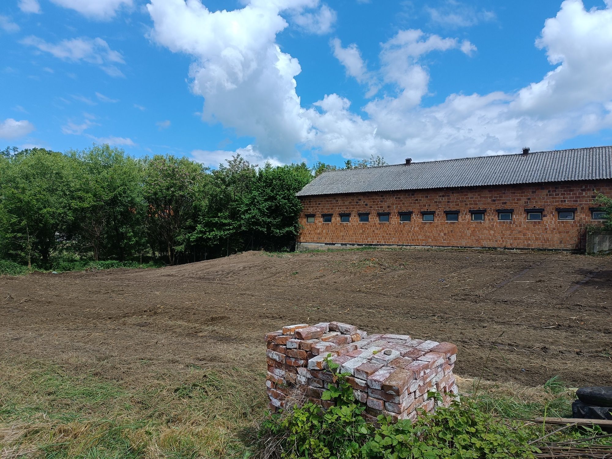 Mulczer leśny wgłębny wycinka drzew karczowanie czyszczenie działek