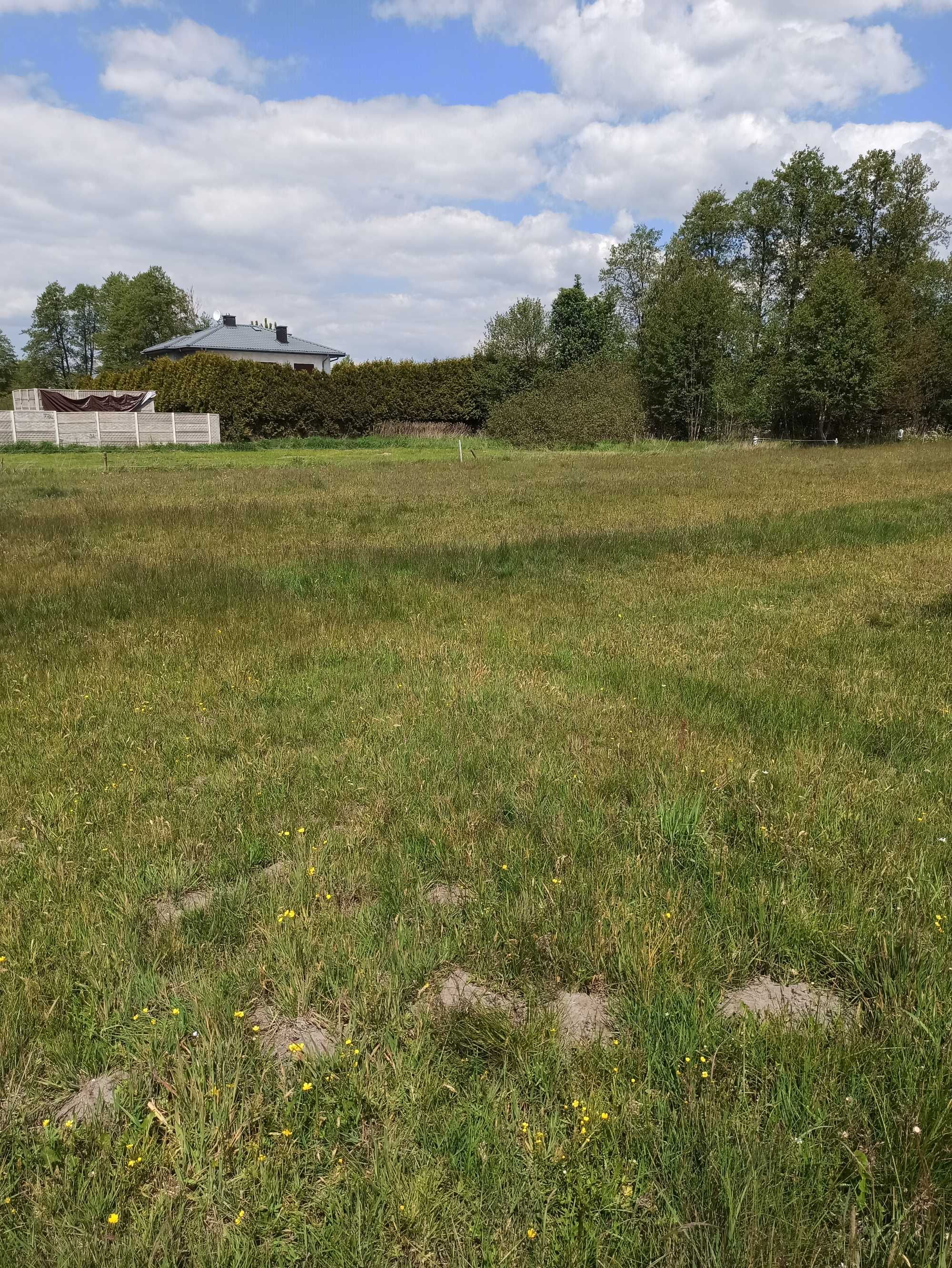 Działka budowlana z MPZP Krzywica gm. Klembów.