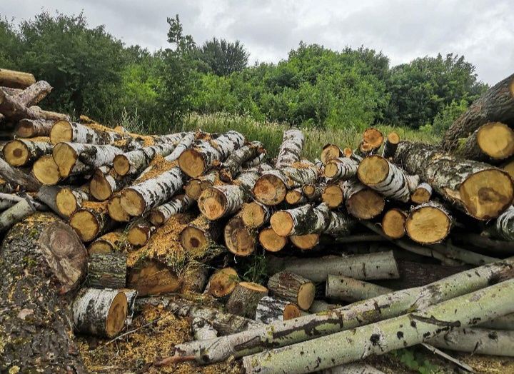 Drewno opałowe kominkowe i rozpałkowe