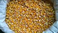 Vendo milho de seca natural 0,40 o KG