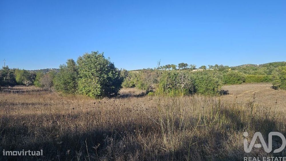 Terreno Agrícola em Santa Bárbara de Nexe