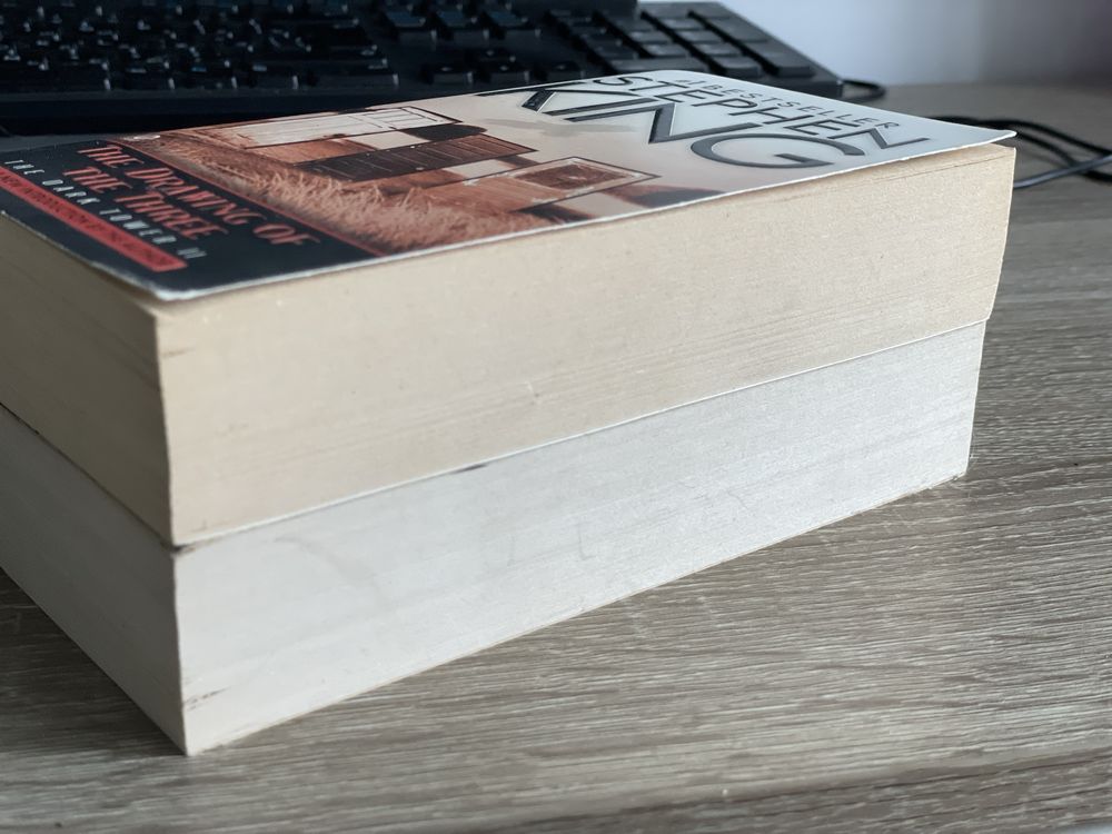 Stephen king the dark tover 2,3