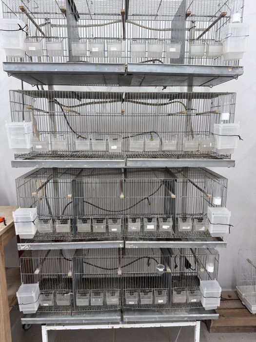Gaiolas de criação de aves com suporte