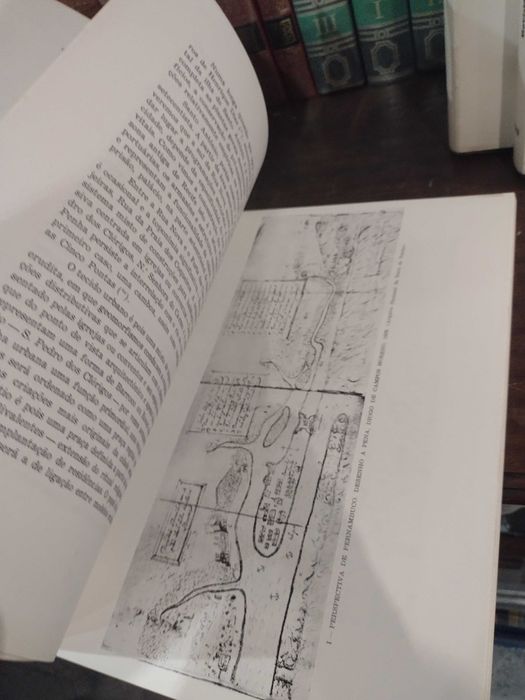 Belas Artes Revista e Boletim da Academia Nacional de Belas-Artes
