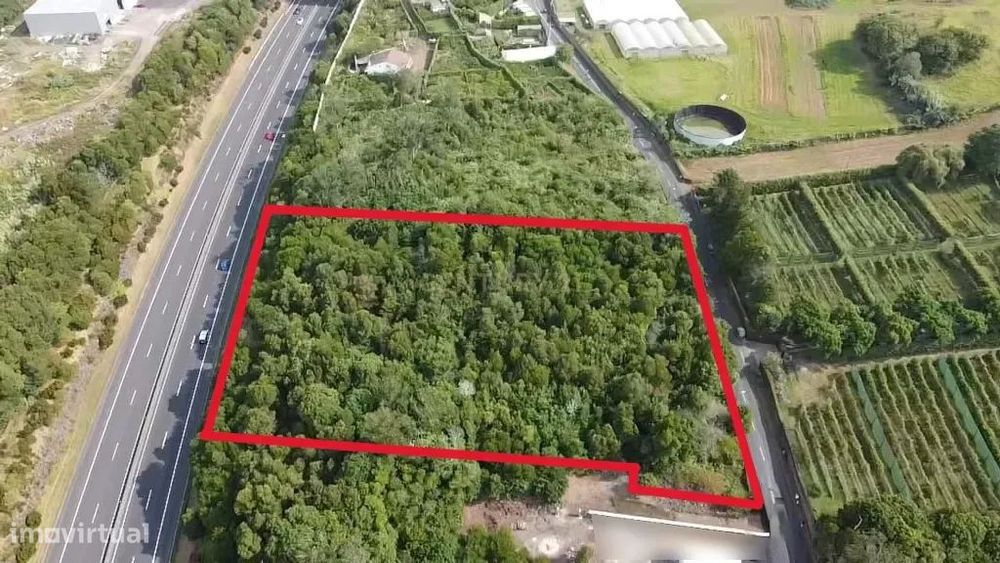 Terreno Rústico de 5.360m² – Nossa Senhora do Rosário, Lagoa (Caminho
