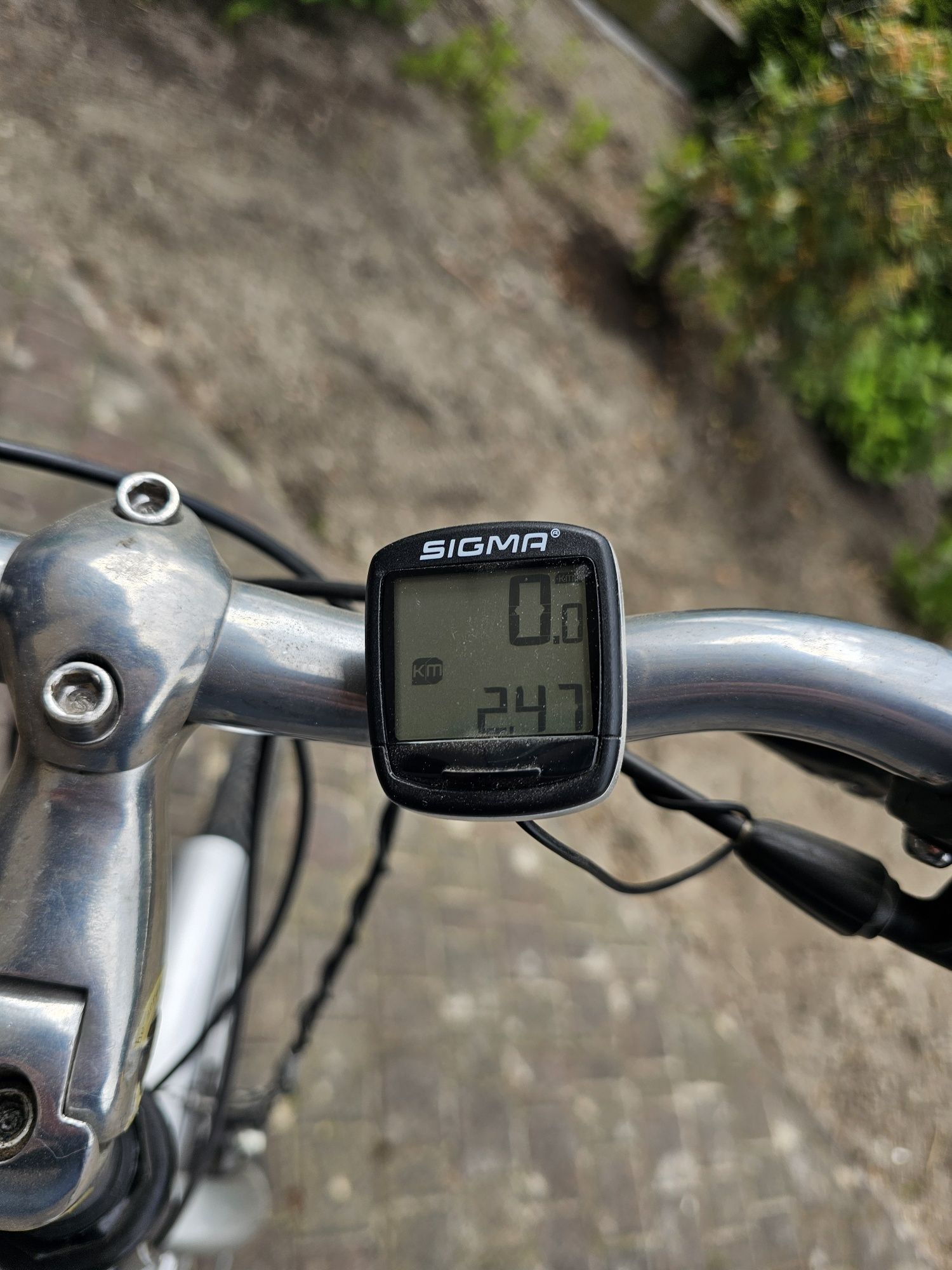 Rower damka Giant