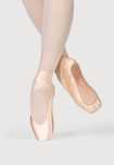 пуанти  bloch, 38