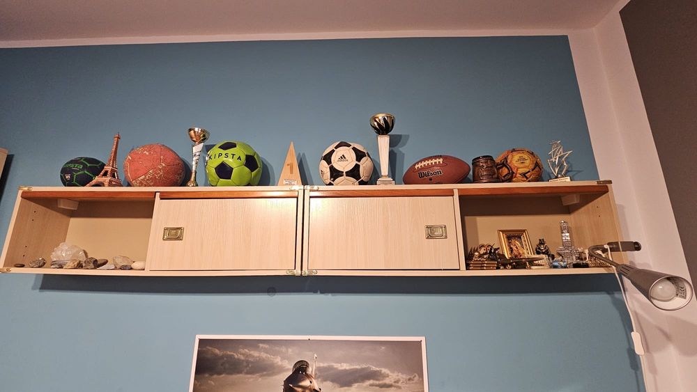 Meble młodzieżowe Vox Safari