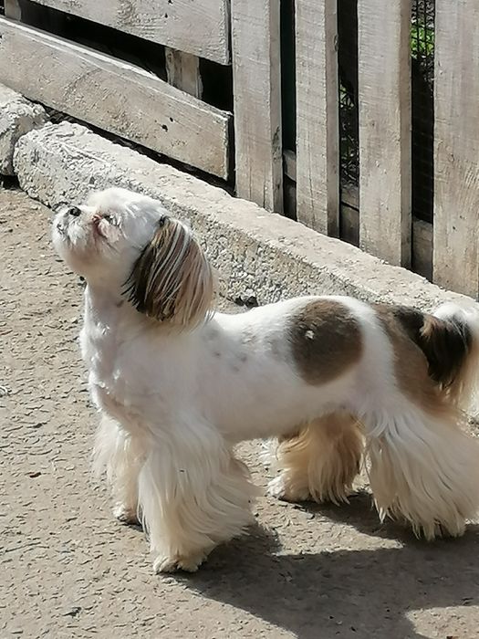 Запрошуємо на побачення