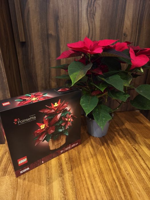 Lego Botanicals 10370 Poisenttia