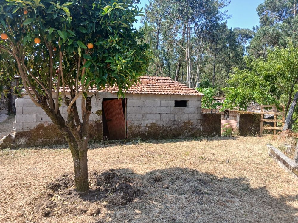 Terreno rural com casa antiga