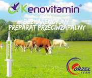 Kenomast maść bezkarencynja zapobiegająca mastitis 5ml. Promocja 10+1