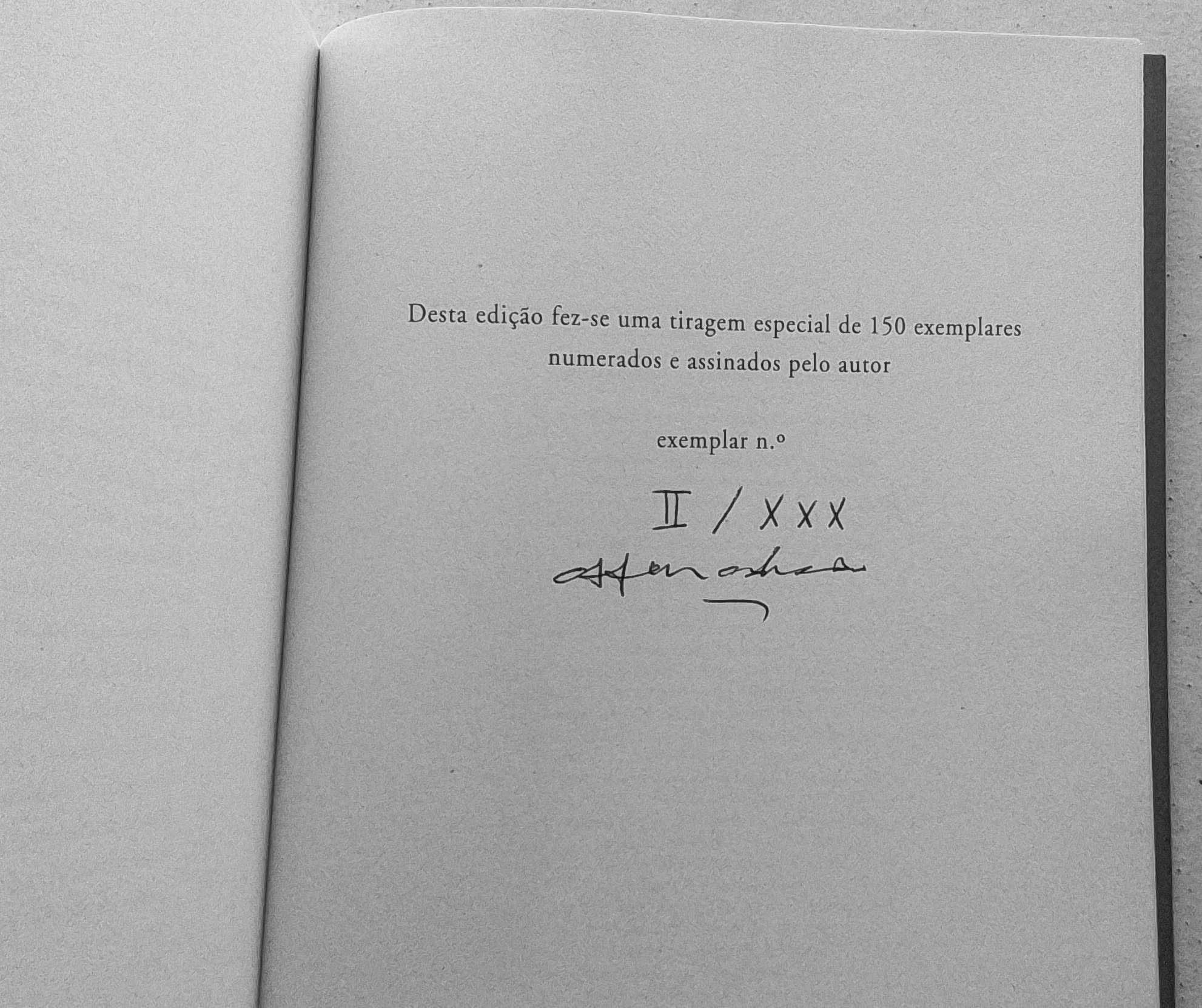 Pack de 4 livros de poesia