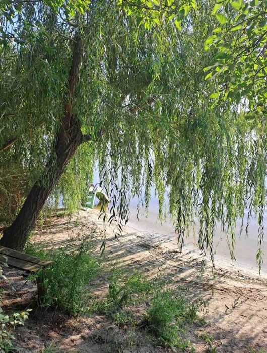 Продам дачу  Днепр Новоселовка ст. Вишенька. Без посредников
