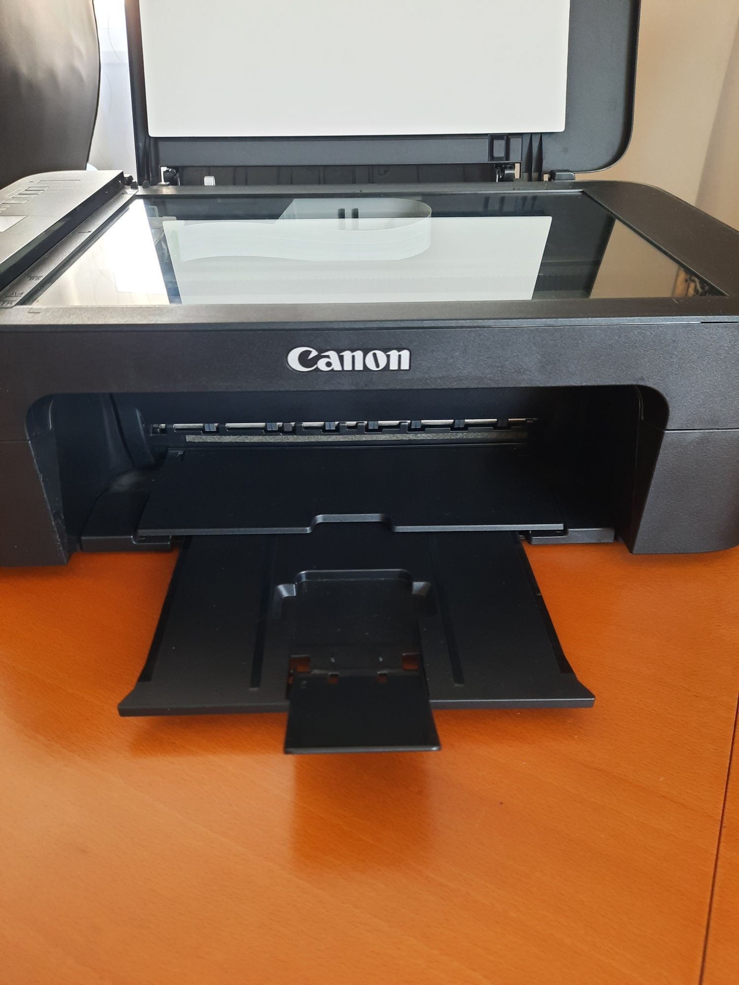 Impressora Canon TS3150