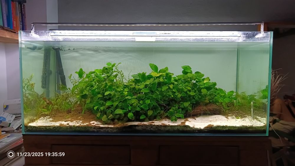 Akwarium 300l komplet