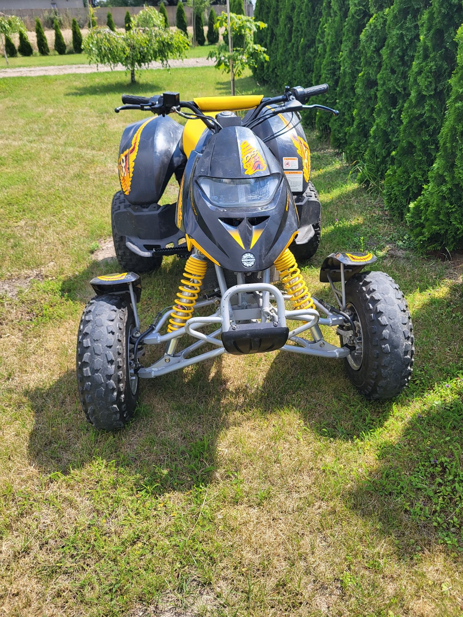 Bombardier Can am ds 650 Rotax