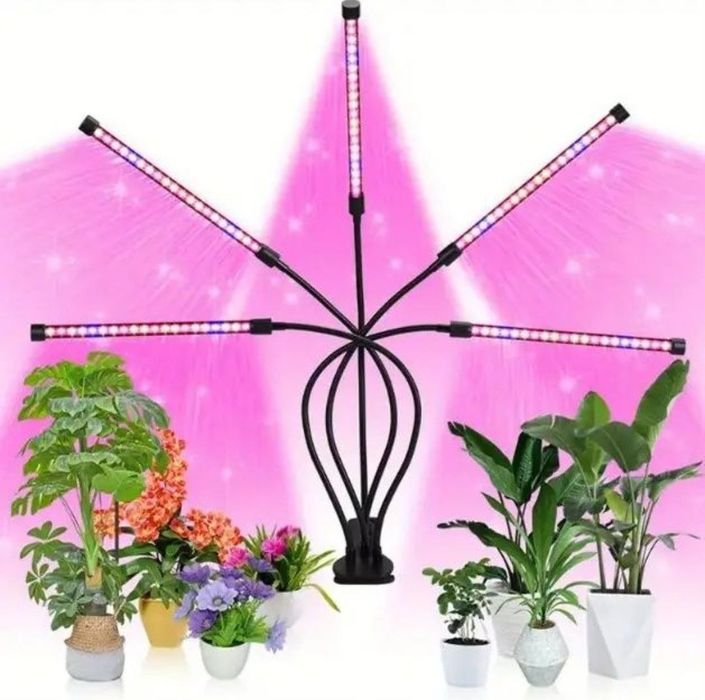 Фитолампа фітолампа для рослин