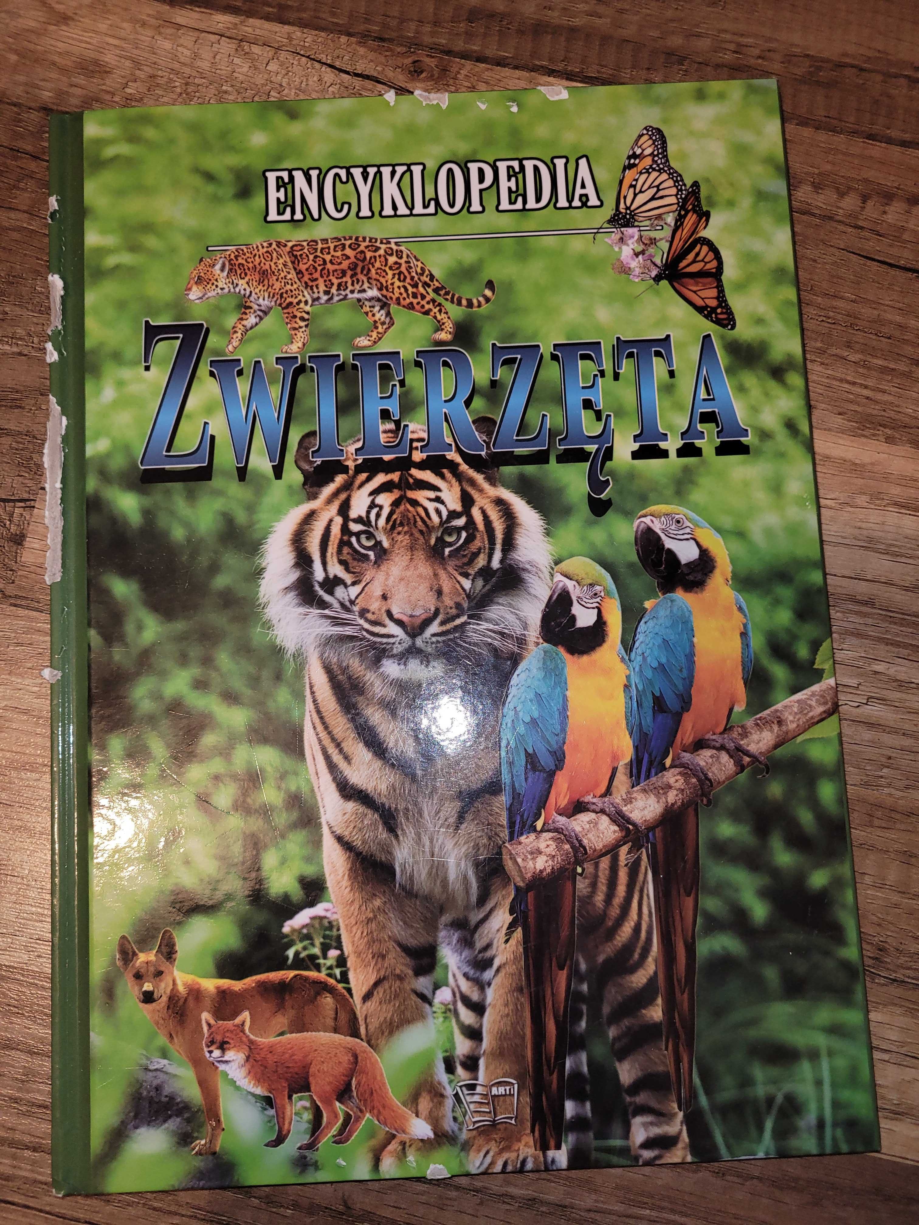 Książki "Co warto wiedzieć o krajach" i "Encyklopedia zwierzęta"