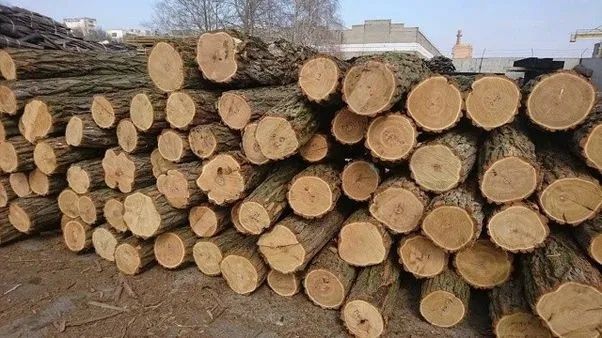 Продам дрова разных пород.