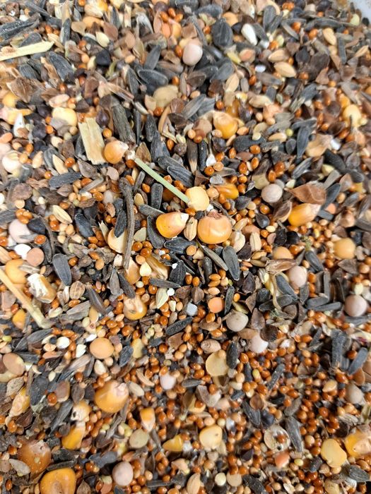 Ziarno,karma miesznka  3zł kg naturalna kury,pawie,bażanty,gołębie