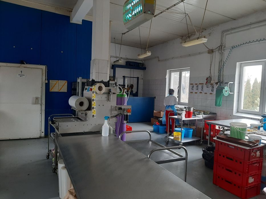 Wynajmę zakład produkcyjny, kuchnię cateringową, magazyn