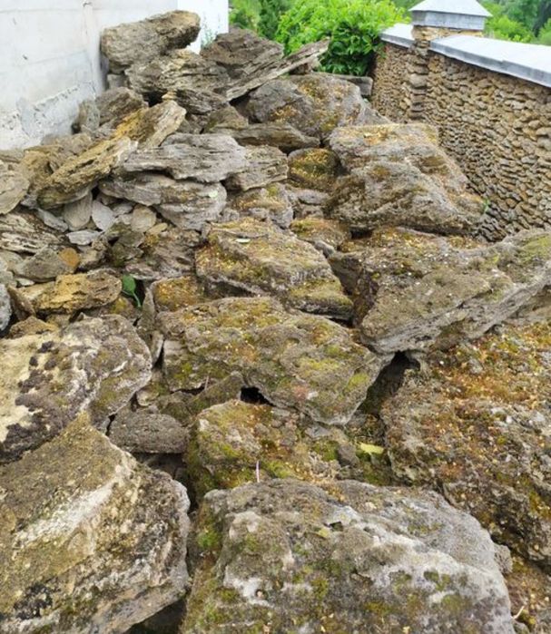 Камінь природний ракушняк