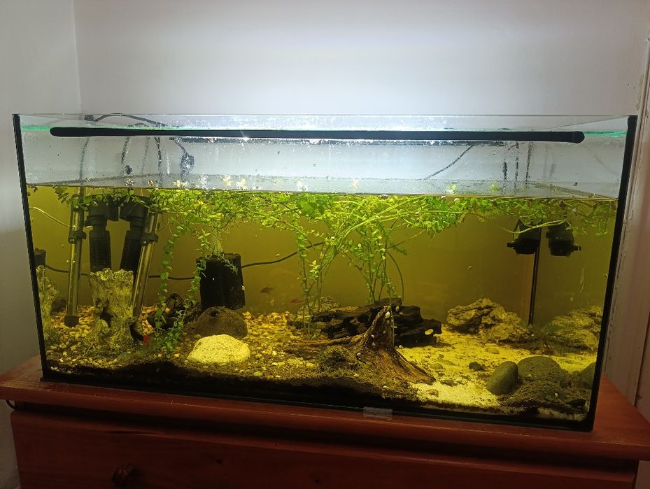 Aquário em vidro de 6mm float 80X40X40 c/tampas
