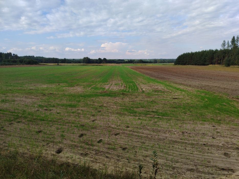 Dzialka rolna Wolka Łamana
