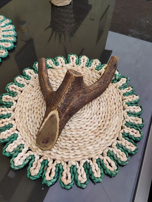 Mienic poroże jelenia wieszak