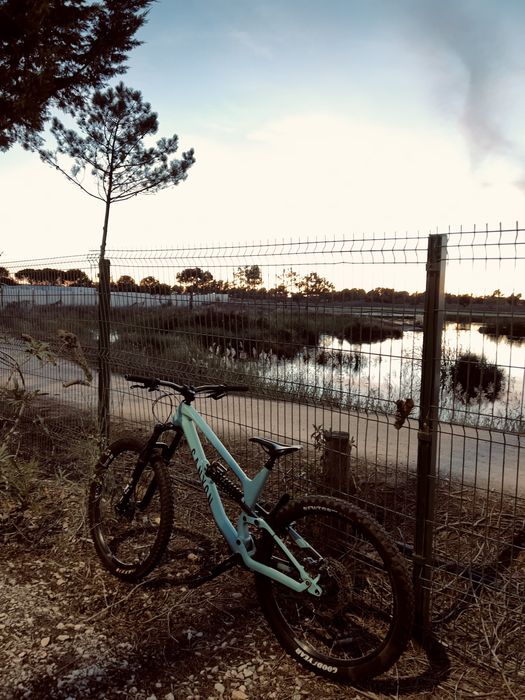 Canyon torque 7.0 AL 2021