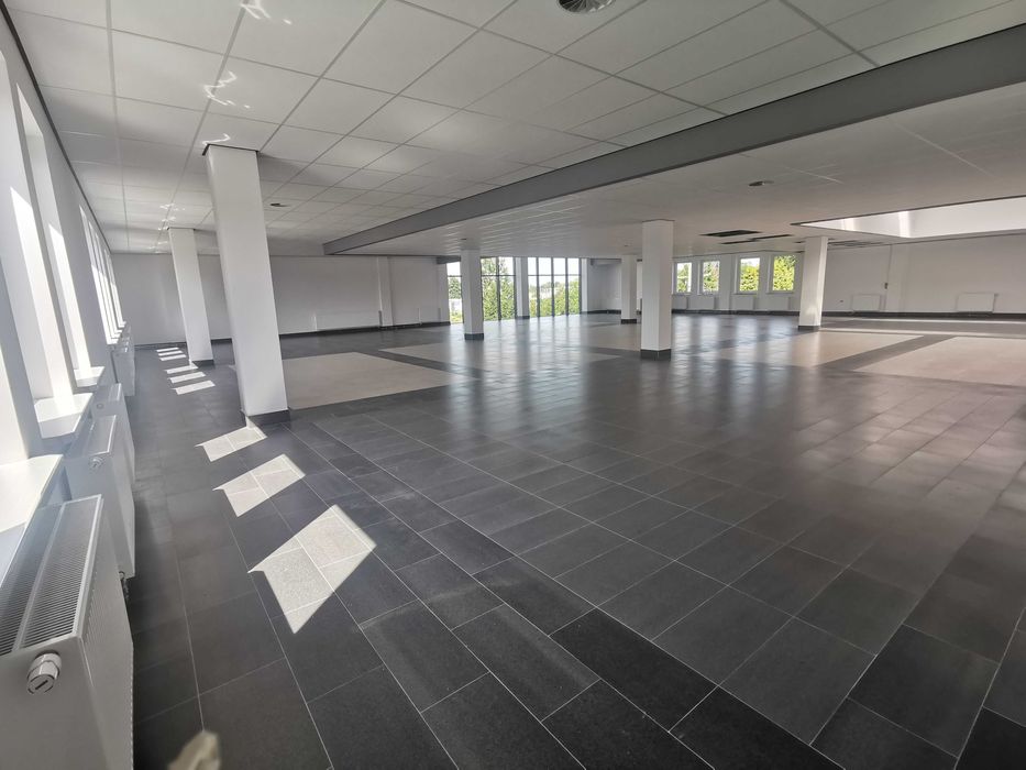 lokal do wynajęcia 500m