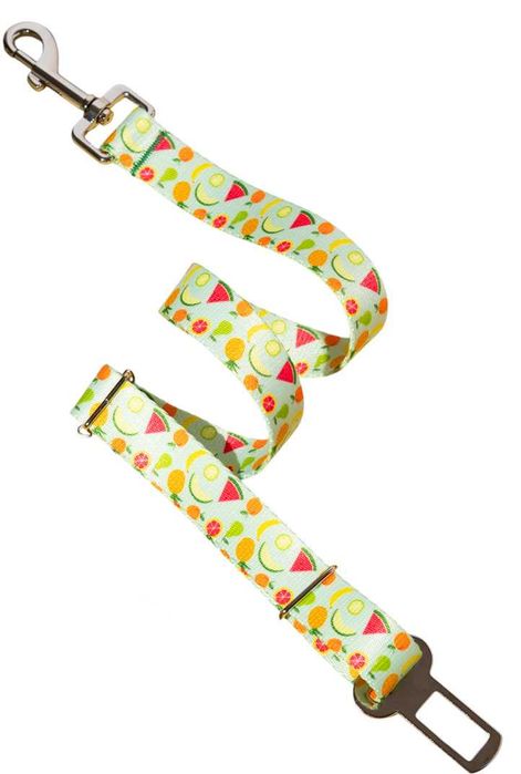 Pas samochodowy bezpieczeństwa do samochodu auta OWOCE