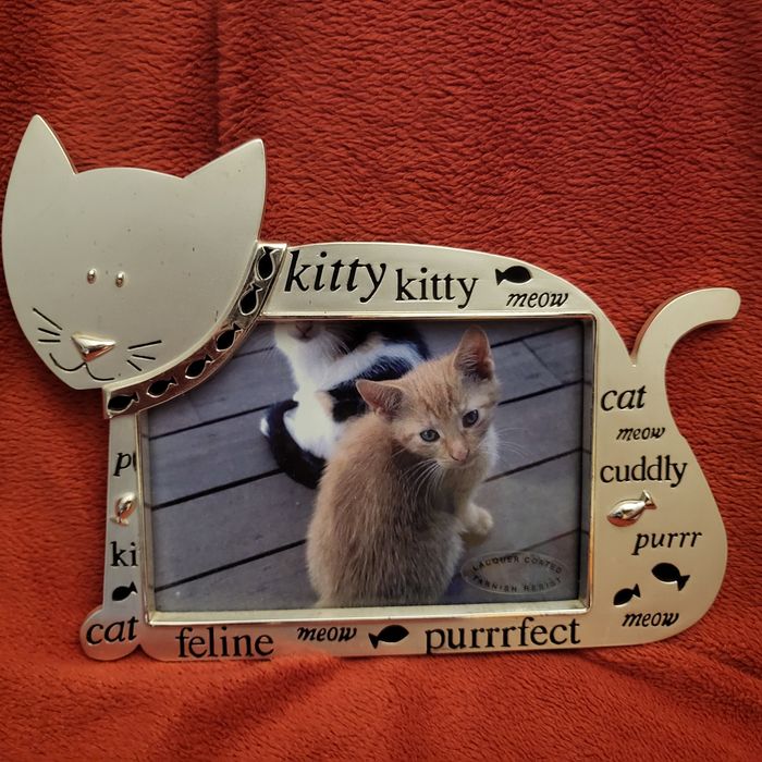 Ramka na zdjęcie z kotem, metalowa, ozdobna, unikat