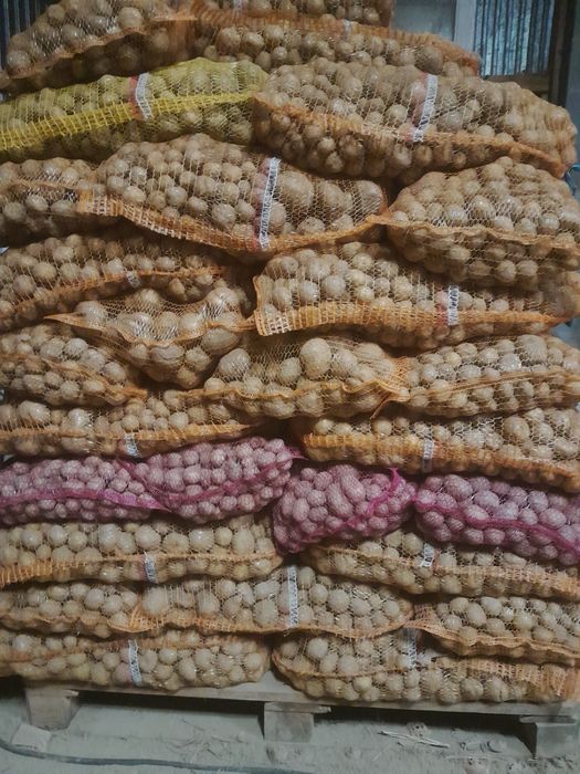 Ziemniaki drobne,paszowe