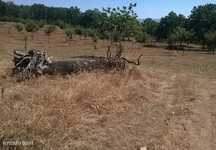 Terreno, Bragança, Vinhais