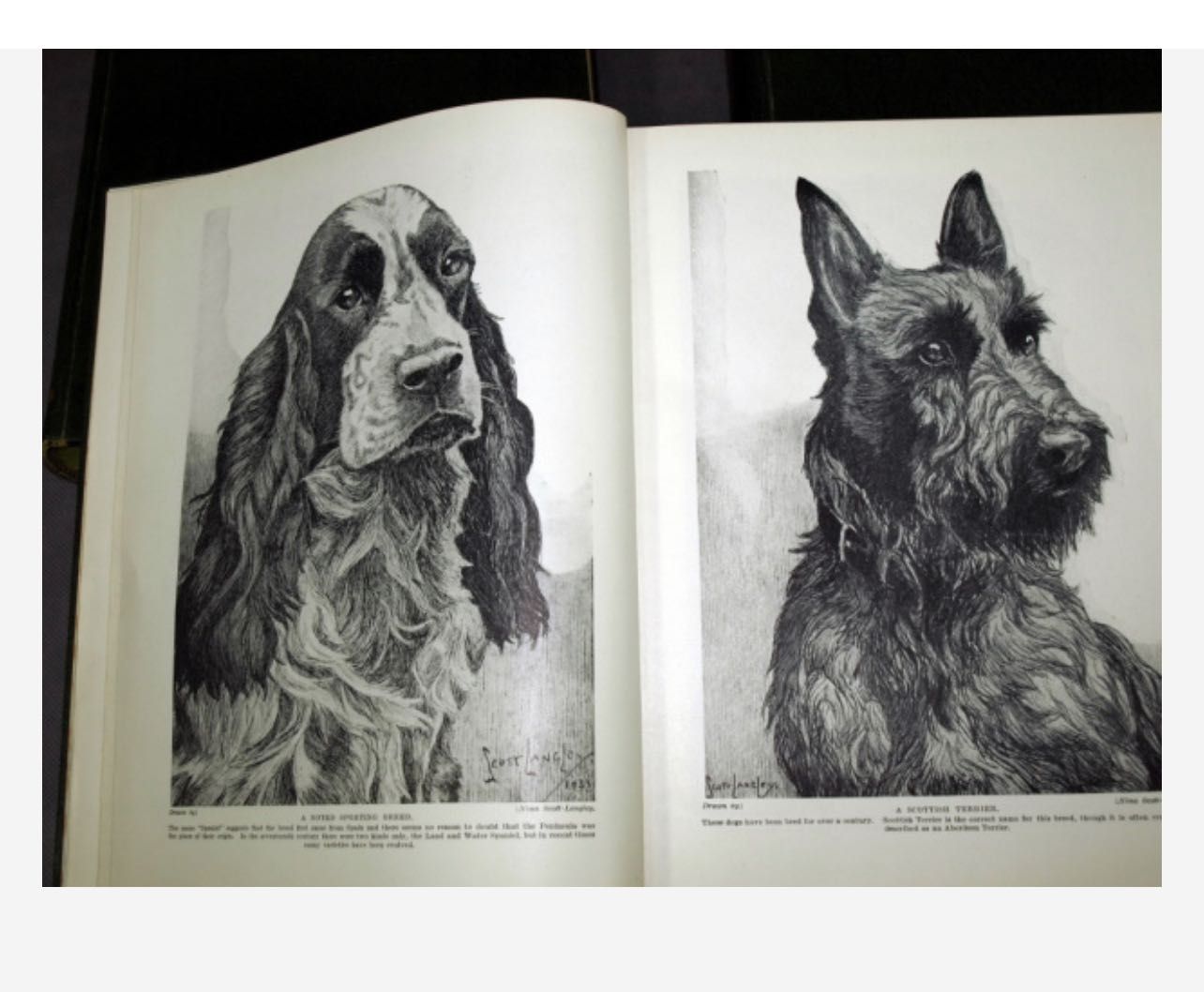 3-tomowa ENCYKLOPEDIA PSÓW Hutchinsona. Londyn 1935