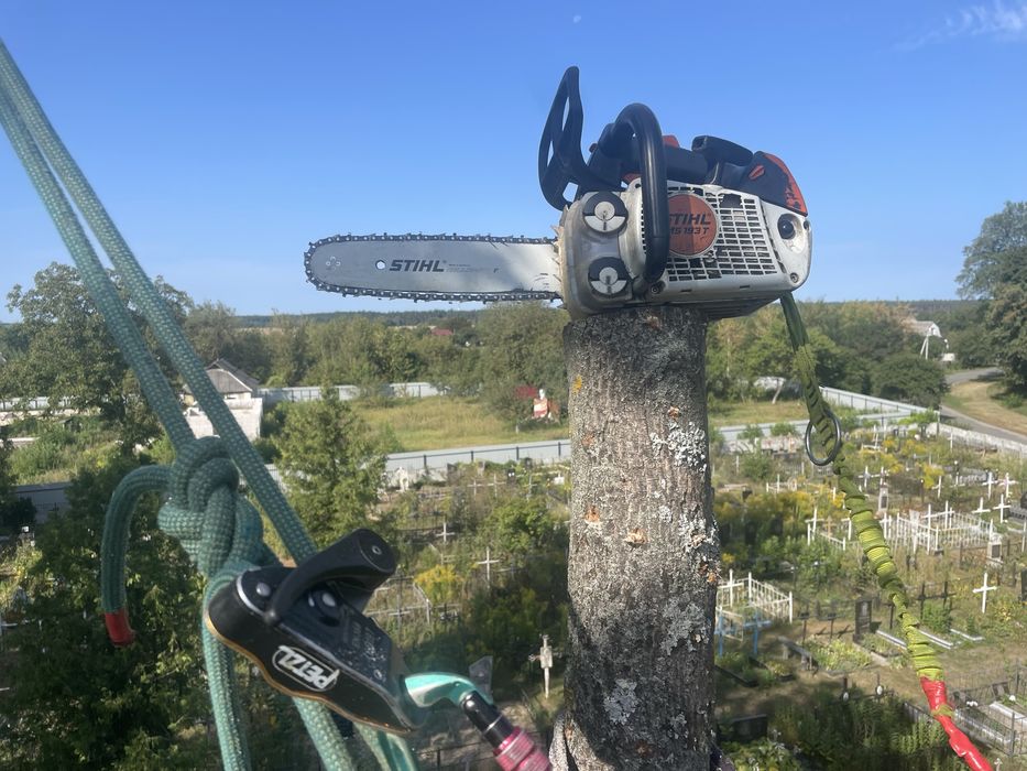 Видалення, спил дерев,кронування,покос трави, чагарників