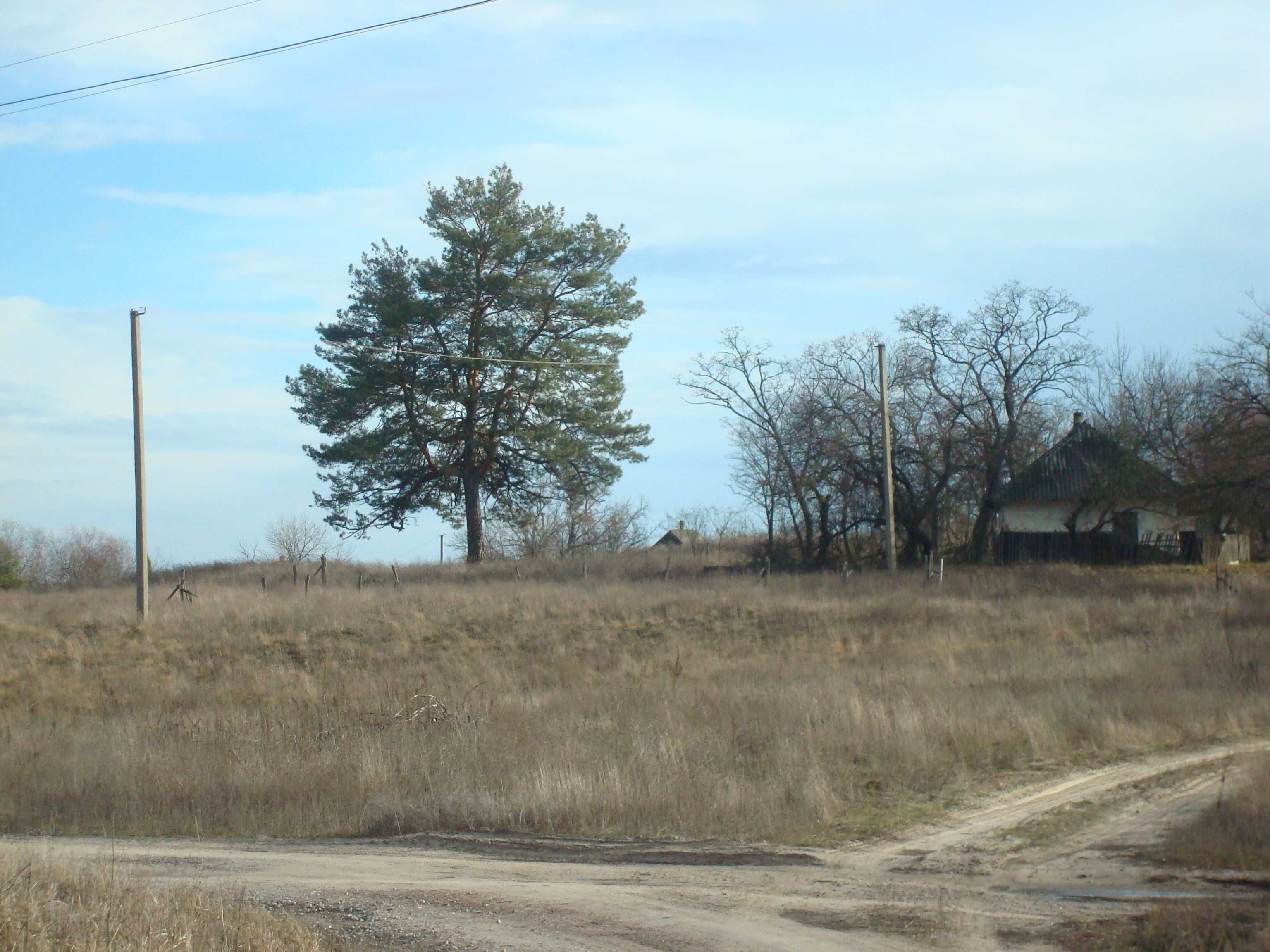 Продам земельну ділянку під будівництво в с. Чорнявка