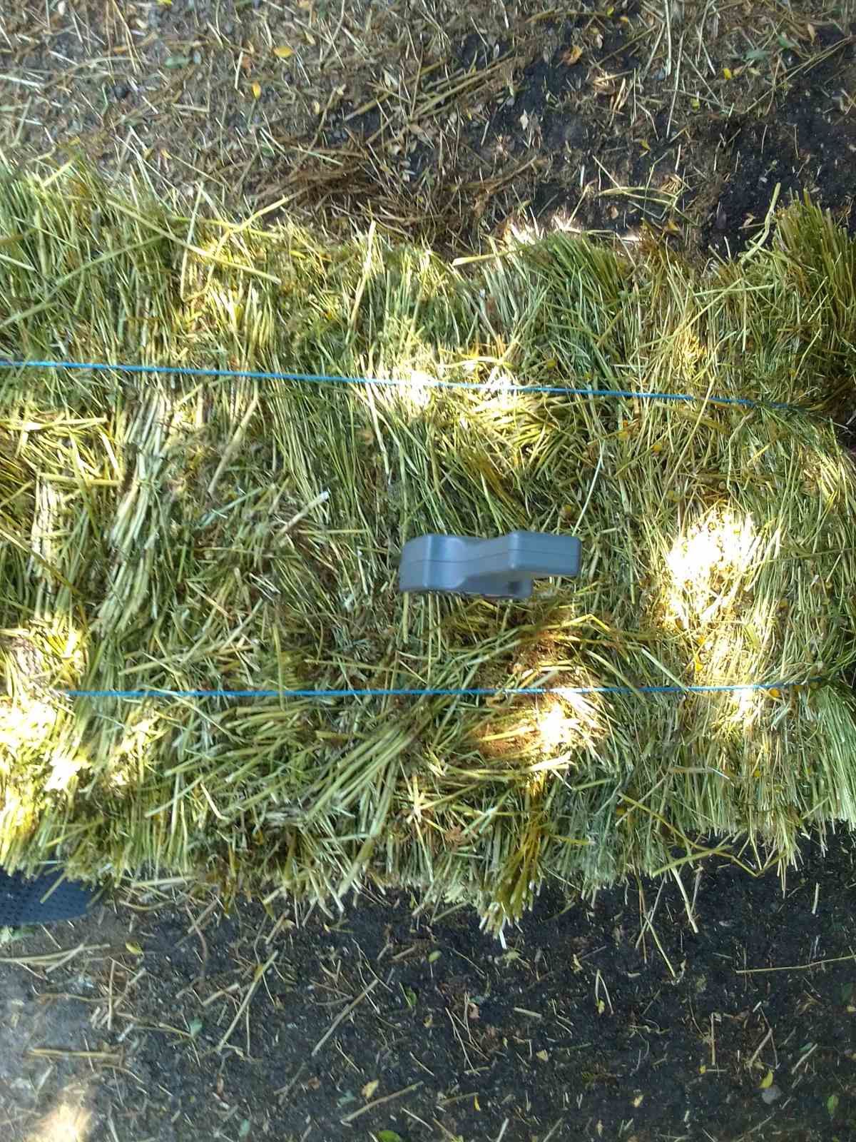 Ромашка лікарська вся рослина. Суха