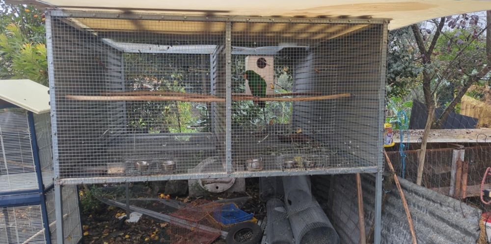 Gaiola para aves de grande porte