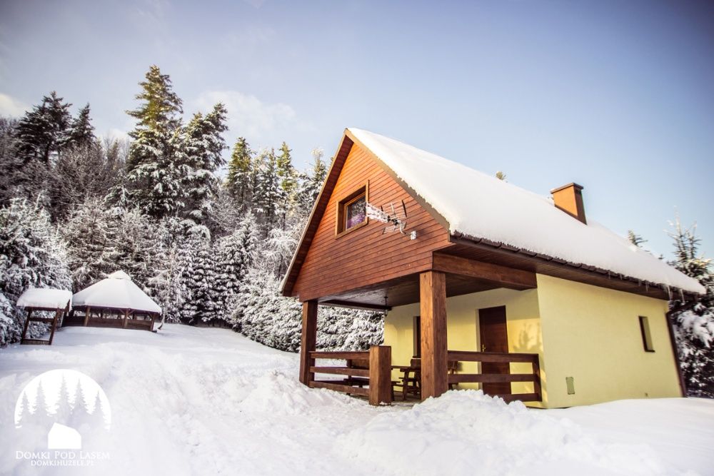 BIESZCZADY - DOMKI POD LASEM - Lesko - noclegi domek Solina Polańczyk