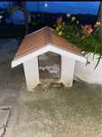 Casota para cão de porte medio
