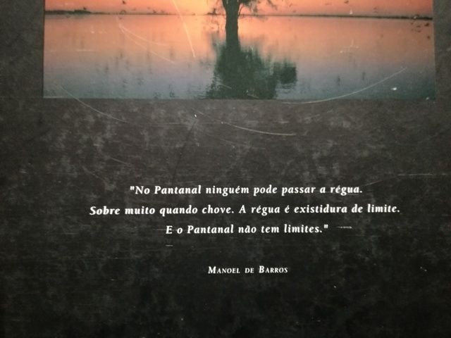 Pantanal. Araquem Alcântara (Fotografia)