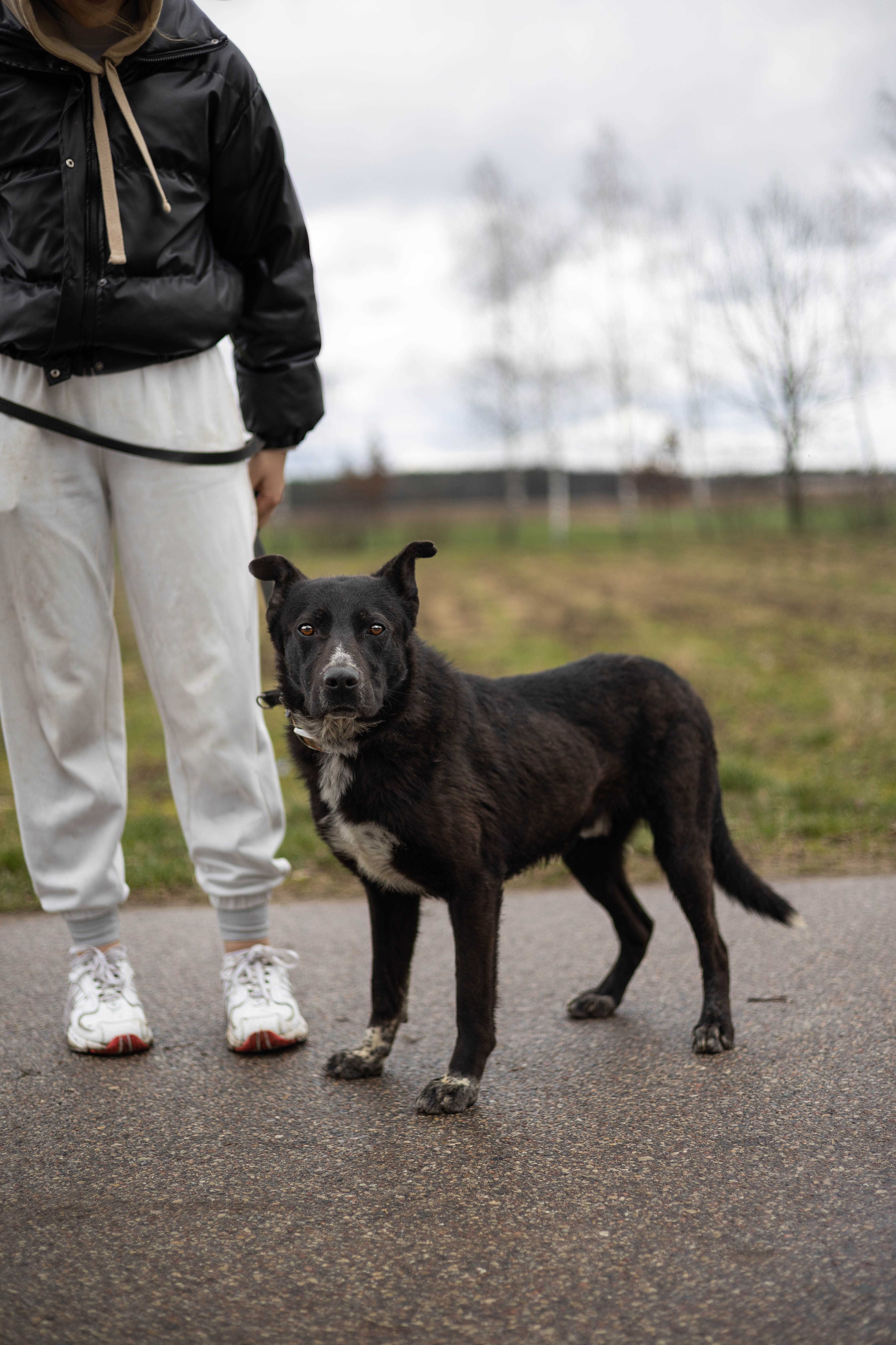 TROP - Schronisko Canis w Kruszewie