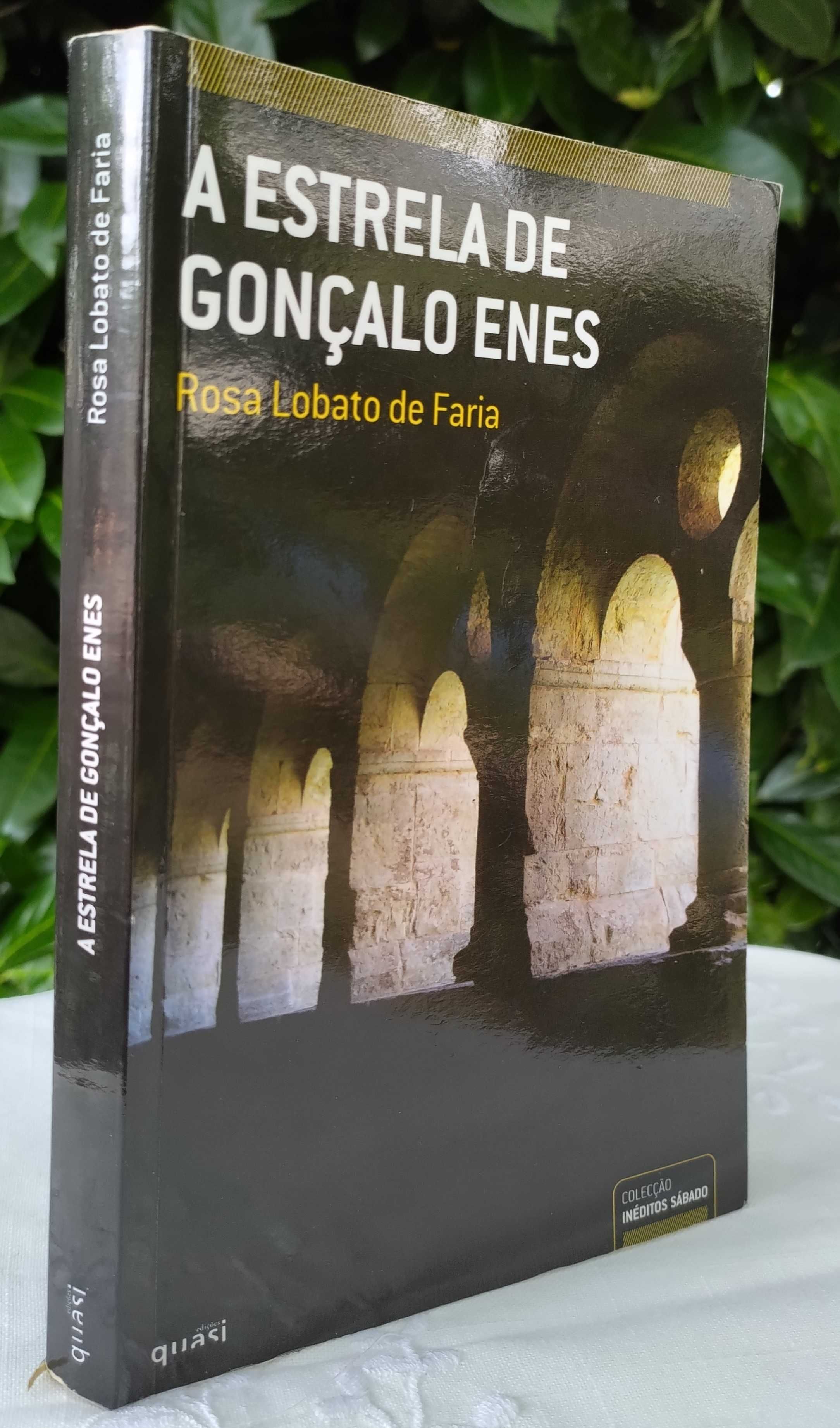 A Estrela de Gonçalo Enes (Rosa Lobato de Faria)