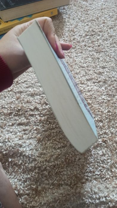 Livro "A guardiã da princesa" de Connie Glynn