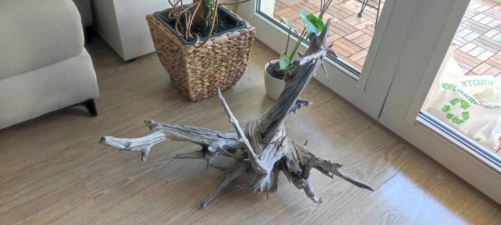 Unikatowy duży korzeń do terrarium akwarium