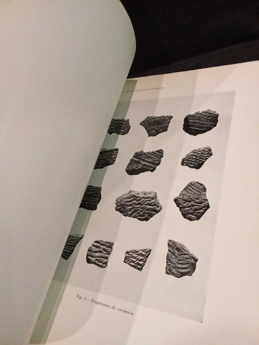 Nota preliminar acerca da Estação Pré-Histórica de Nhampasseré "Guiné"